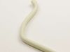 1629887-2-S-Whirlpool-67001066-TUBE- DRAI