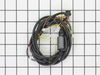 Wiring Harness – Part Number: 291556001
