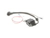 16324588-3-S-Homelite-309266001-Ignition Assembly