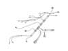 Harness – Part Number: 501132901