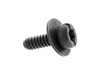 Screw Citxsct – Part Number: 525764701