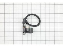 Ignition Module – Part Number: 545189701