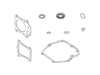 16382855-1-S-Briggs and Stratton-597320-Gasket Set, Engine