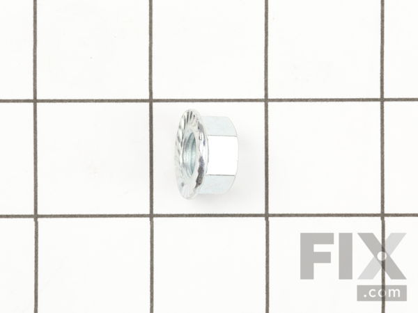 16394021-1-M-Homelite-679075001-Blade Nut (M10 X 125 Mm)