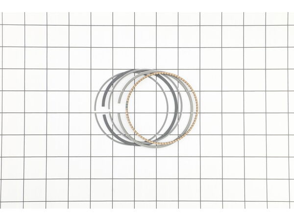 16445144-1-M-Toro-841932-Ring Set (.020 Oversize)
