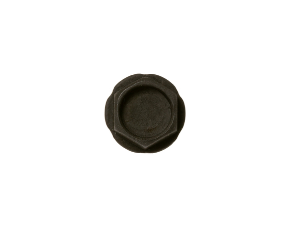 16542022-1-M-GE-WB01X37587-Screw