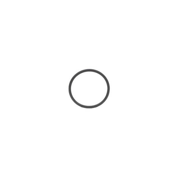 16585477-1-M-Dynabrade-95529-O-RING