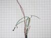 16620495-1-S-Whirlpool-W11561072-Wire Harness