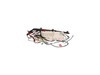 Power Control Board Cover Assembly – Part Number: DC92-02379E