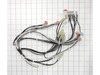 SVC-WIRE HARNESS NO IGN WIRE;106378,RGC3 – Part Number: DE81-03065A