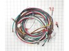 Main Wire Harness – Part Number: DE81-04389A