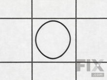 O-Ring – Part Number: 5690376001