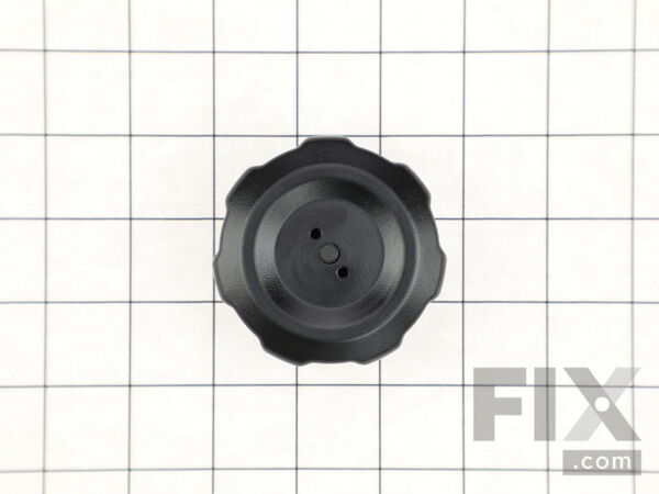16669101-1-M-Ryobi-317176001-Tank Cap Assembly