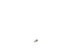 16680517-2-S-DeWALT-5140245-36-Carbon Brush