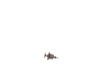 Armature Assembly – Part Number: N595065