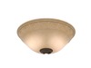 16741776-1-S-Hunter-K070501176-Globe/shade
