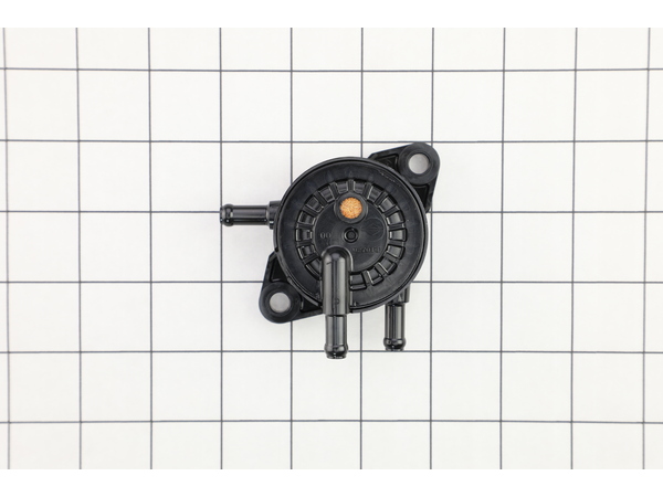 16869209-1-M-Briggs and Stratton-597338-Pump-fuel