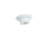 DRAIN PLUG – Part Number: WR01X43467