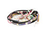 HARNESS - C17 IDI UNIT W/O DAM – Part Number: W11679642