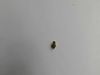 ORIFICE - NG,EZ, 17K – Part Number: W11690133