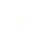 17243613-2-S-Bosch-10026233-MEMBRANE
