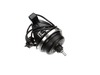 Motor – Part Number: 925007100