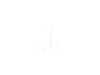 Stopper – Part Number: F11409W00XP