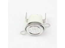 Body Thermostat – Part Number: 263900059