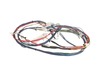 Main Cable Assembly (Black Box Orion) – Part Number: 2976632200