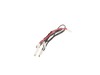 17810104-2-S-DeLonghi-5013277019-Wiring Lamp