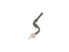 17818880-2-S-SMEG-698976489-Frother Ecf02