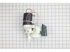 Grinder Assembly (3d-dl 120v) – Part Number: AS00005650