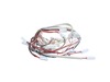Harness Main – Part Number: SH2071