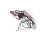 17837024-3-S-SMEG-690733758-Switch Wiring Assembly