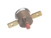 17838895-2-S-SMEG-818731311-Safety Thermostat