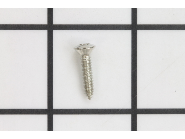 17872433-1-M-GE-WB01X50407-SCREW