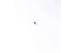 Thermostate – Part Number: 17400513000457