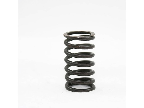18212494-1-M-Generac-83946-Xspring:valve Solid