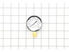 Gauge, 300# 1/4 – Part Number: 032-0144
