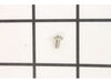 Bail Pivot Cover Screw – Part Number: 1192660
