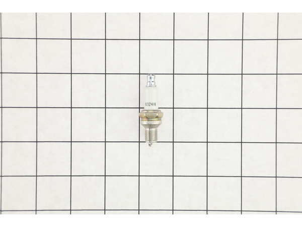 18485638-1-M-MTD-794-00098-SPARK PLUG 10MM:EM