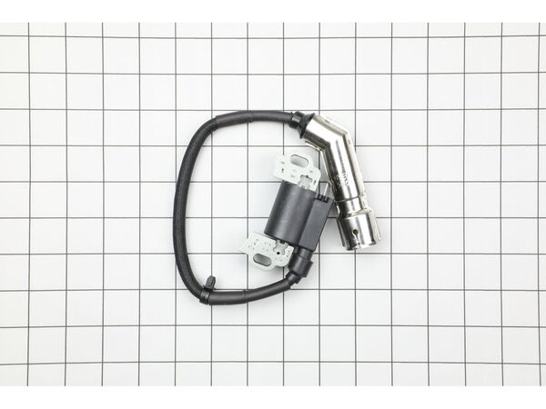 18490895-1-M-MTD-994-00136A-IGNITION MODULE
