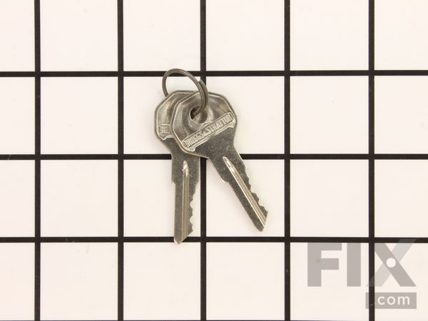 18603467-1-M-Murray-7011167YP-KEY IGNITION V21 PA