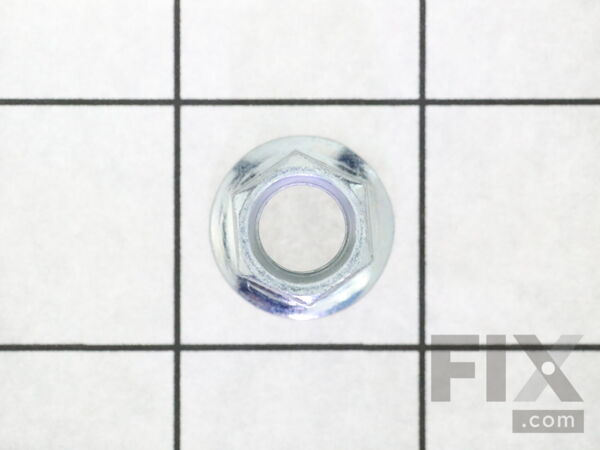 18781697-1-M-Homelite-099749004037-HEX NUT (M10, FLANGE)