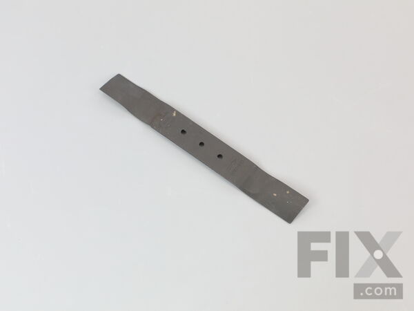 18781748-1-M-Homelite-099749005054-BLADE