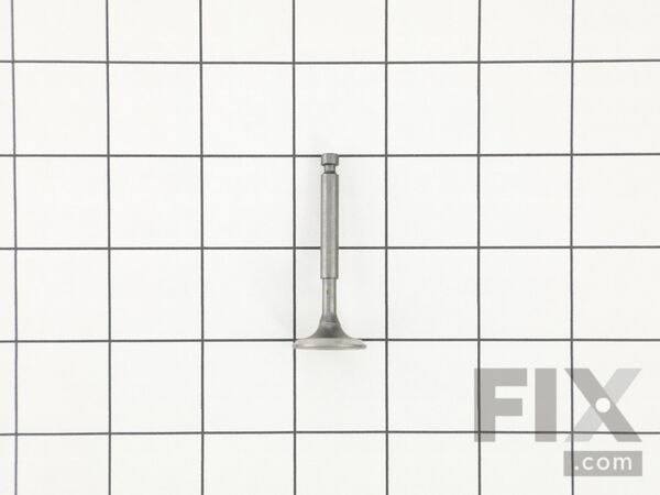 18782551-1-M-Homelite-201701-INLET VALVE