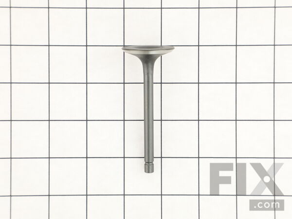18793200-1-M-Homelite-D261702-INTAKE VALVE
