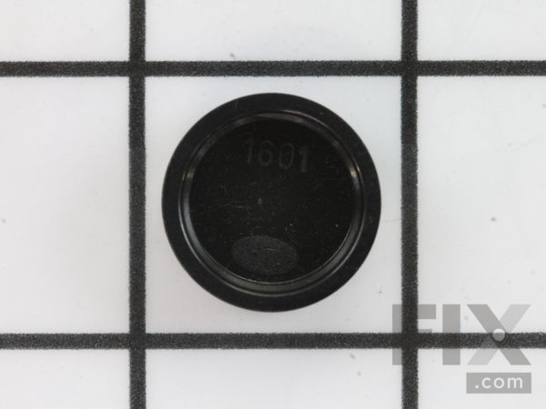18974184-1-M-Fein-31342620997-COVER