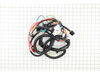 HARNESS-MAIN 3 PO – Part Number: 925-04567K