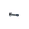 MICROENCAPSULATED SCREW – Part Number: 1613414021
